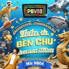 de boa bet de boa bet